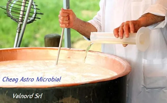 Cheag AGRO-SHOP Microbial 2300 /500g, 500 g